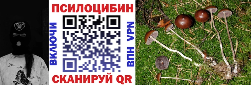 Галлюциногенные грибы MAGIC MUSHROOMS  Белогорск 