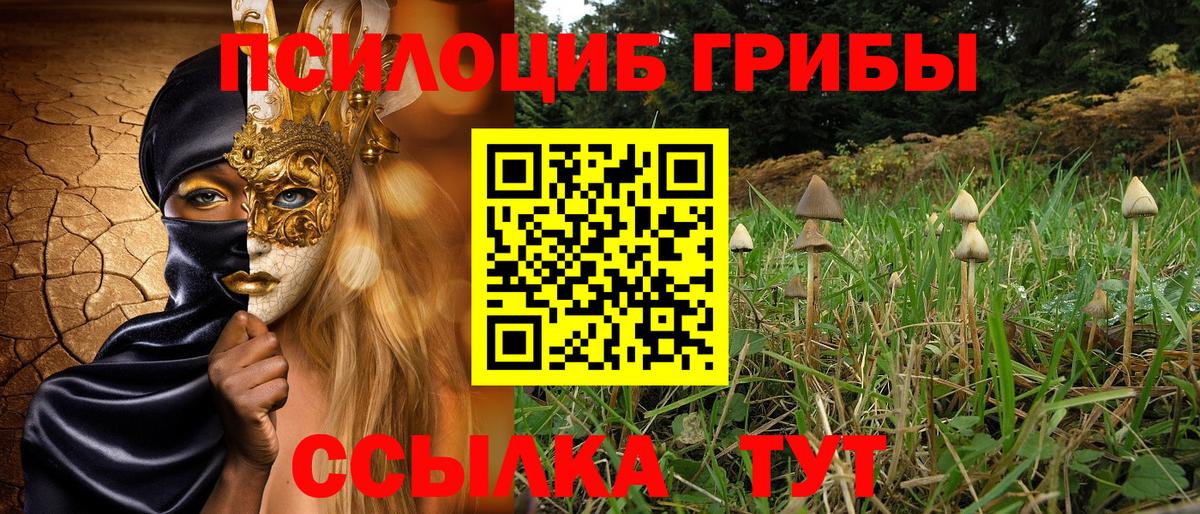 Галлюциногенные грибы мицелий  Псилоцибиновые грибы мицелий  Вход с VPN  Белогорск 