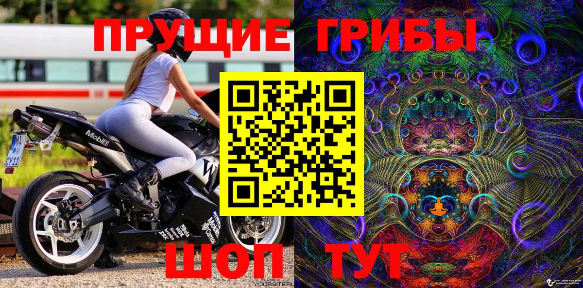 Галлюциногенные грибы Psilocybine cubensis  Белогорск 