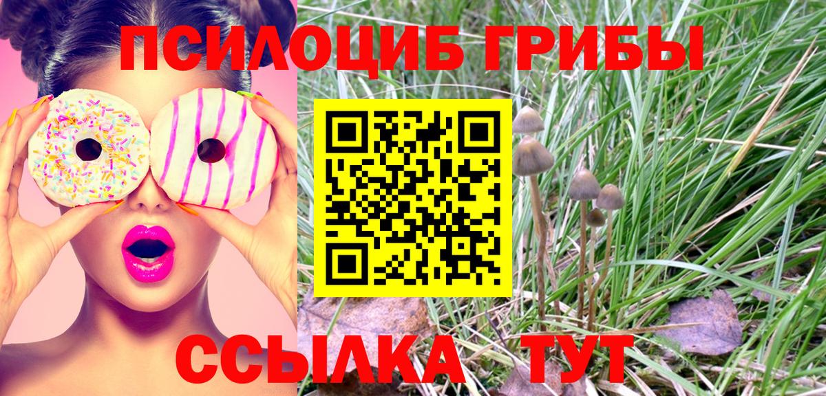 Галлюциногенные грибы GOLDEN TEACHER Белогорск